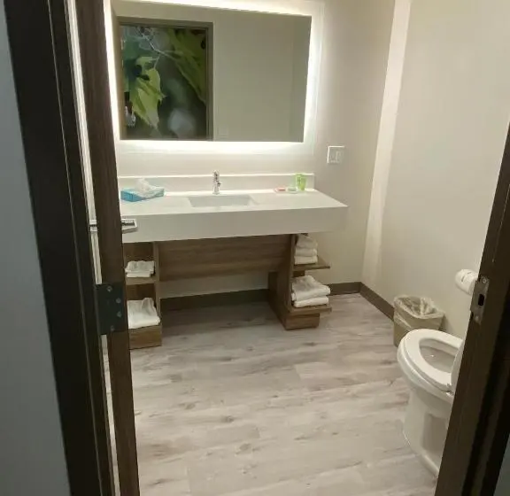 キングサイズベッドのスタンダードルーム, Wyndham Garden Orlando Airport Free Airport Shuttle