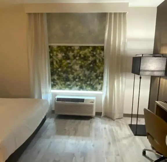 デラックスルーム, Wyndham Garden Orlando Airport Free Airport Shuttle