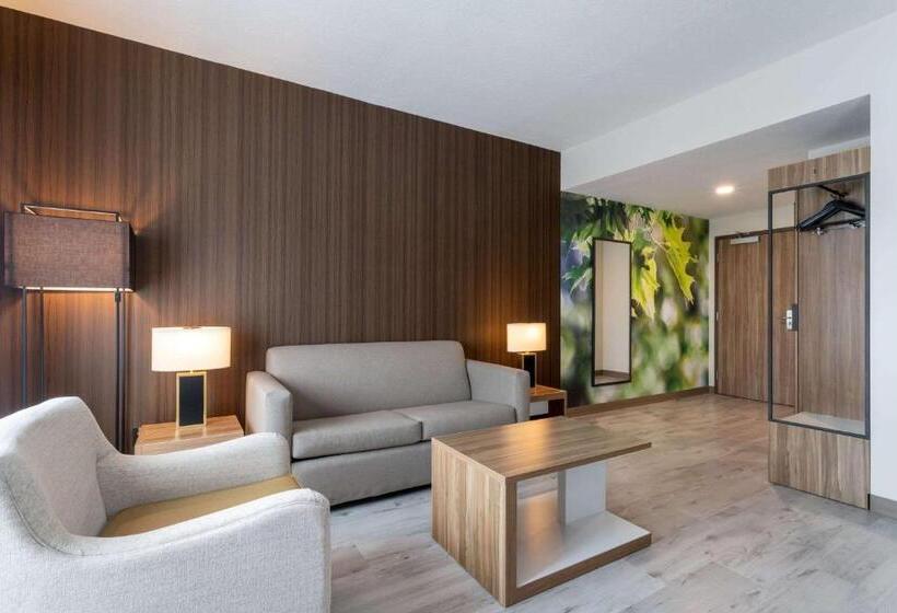 غرفة ديلوكس لذوى الاحتياجات الخاصة, Wyndham Garden Orlando Airport   Free Airport Shuttle