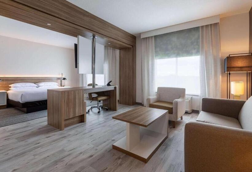 Deluxe-huone Soveltuu Liikuntarajoitteisille, Wyndham Garden Orlando Airport   Free Airport Shuttle