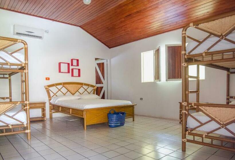 패밀리 룸, Múcura Club