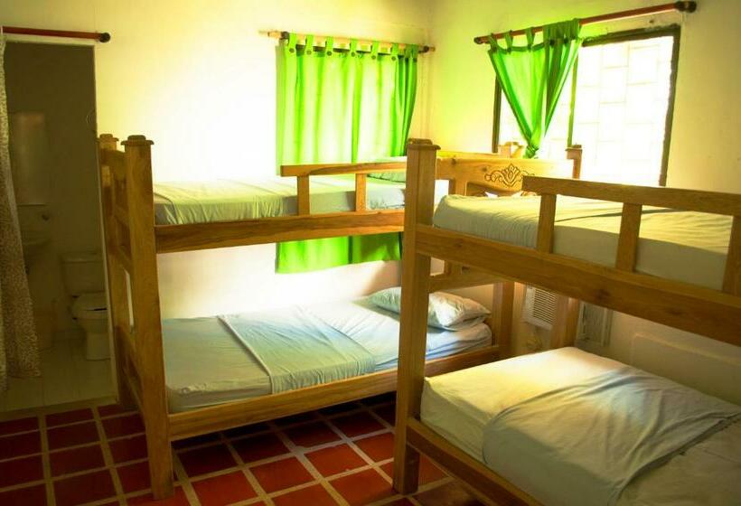 이코노미 트리플 룸, Múcura Club