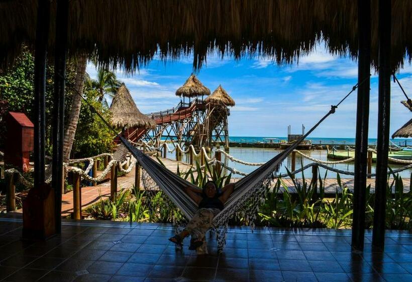 스탠다드 룸, Múcura Club