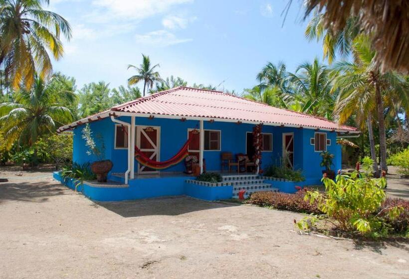 패밀리 룸, Múcura Club