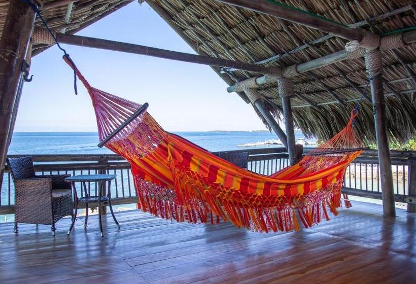 스위트, Múcura Club