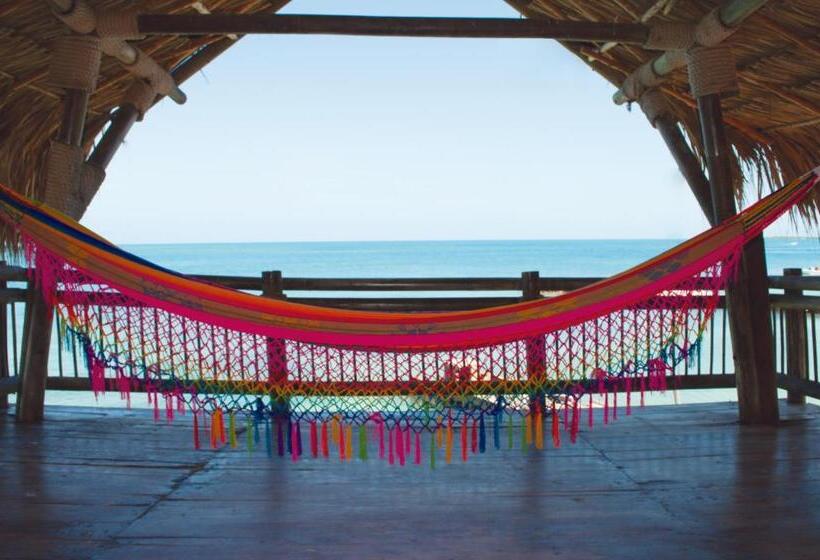 스위트, Múcura Club