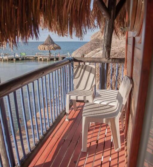 수피리어 룸, Múcura Club