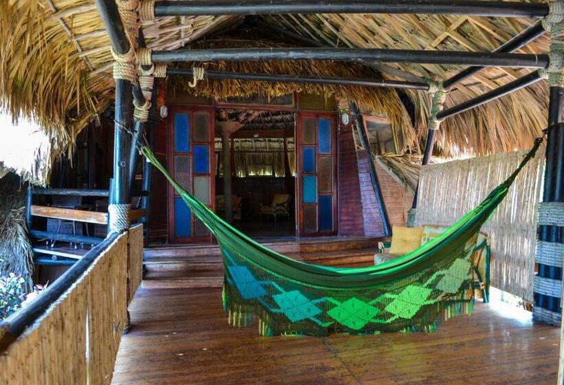 주니어 스위트, Múcura Club