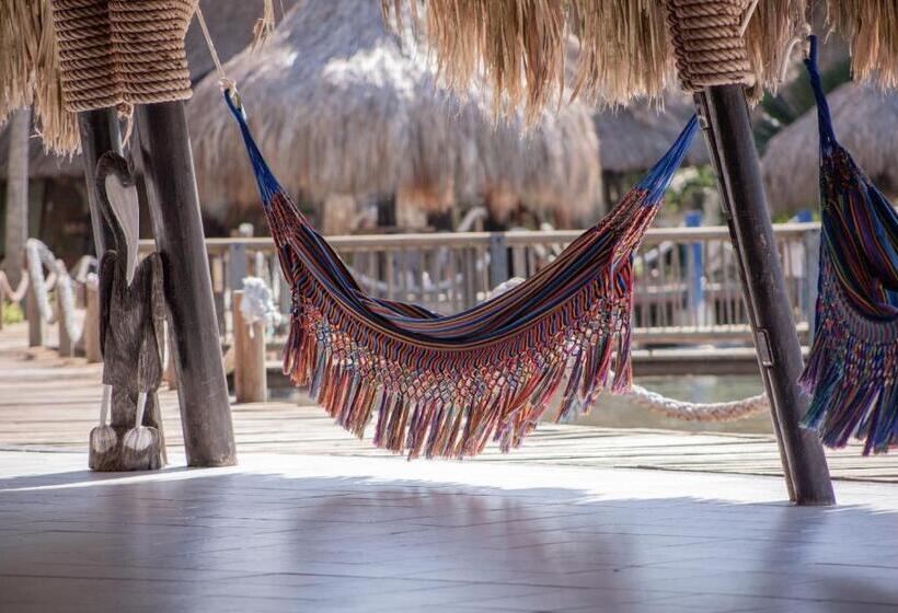 스탠다드 룸, Múcura Club