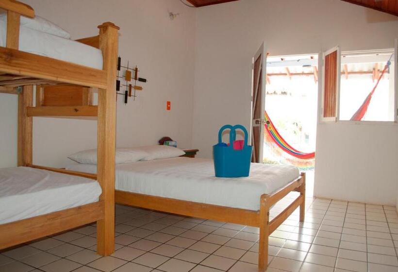 정원 전망 4인용 스탠다드 룸, Múcura Club