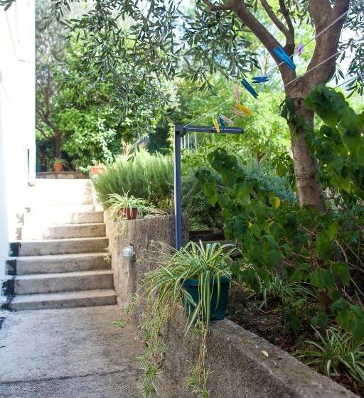 استودیوی استاندارد, Apartments & Rooms Jelka