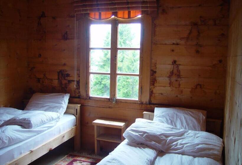 اتاق استاندارد, Demircioglu Pokut Dag Evi