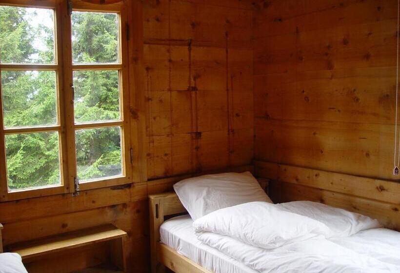 اتاق استاندارد, Demircioglu Pokut Dag Evi