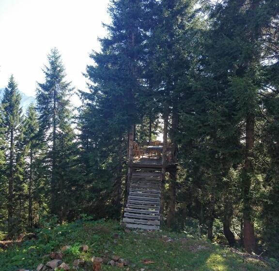 اتاق استاندارد, Demircioglu Pokut Dag Evi