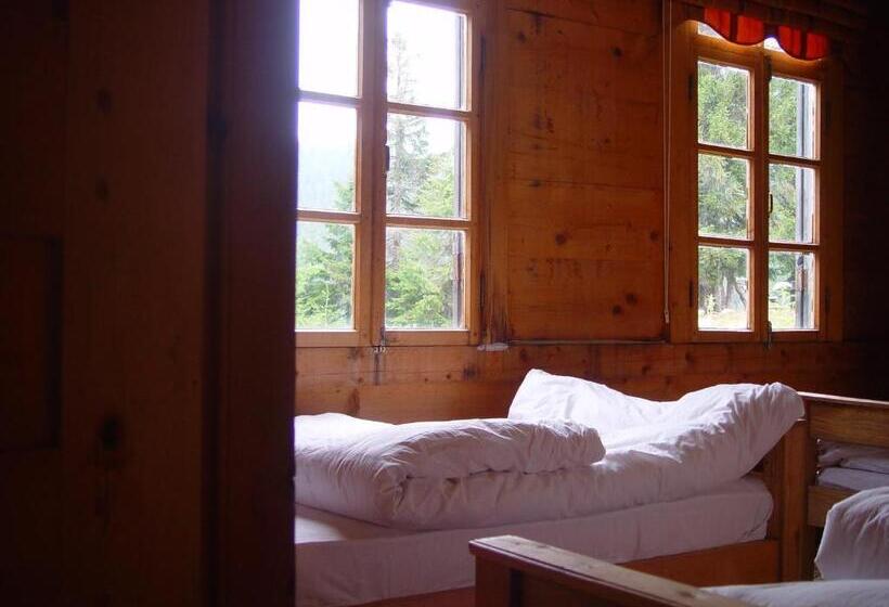 اتاق استاندارد سه نفره, Demircioglu Pokut Dag Evi