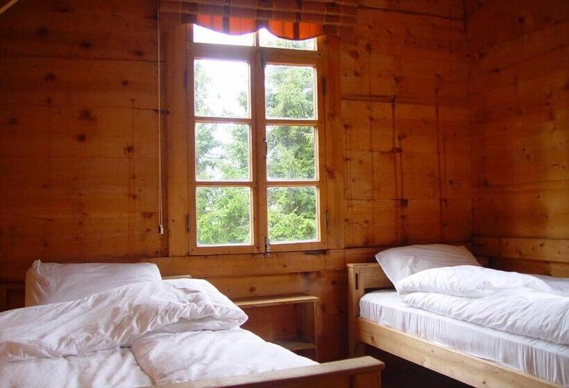 اتاق استاندارد با سرویس بهداشتی مشترک, Demircioglu Pokut Dag Evi