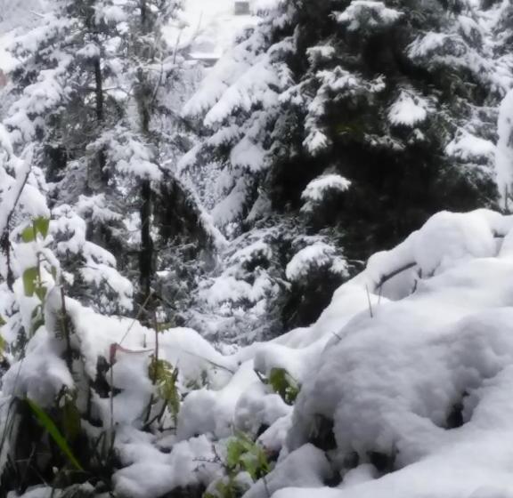 اتاق استاندارد با سرویس بهداشتی مشترک, Demircioglu Pokut Dag Evi