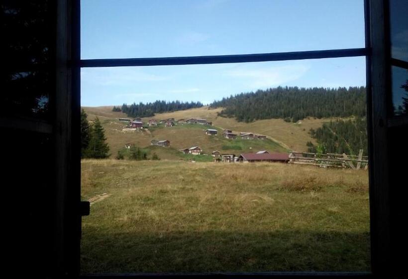 اتاق استاندارد با سرویس بهداشتی مشترک, Demircioglu Pokut Dag Evi