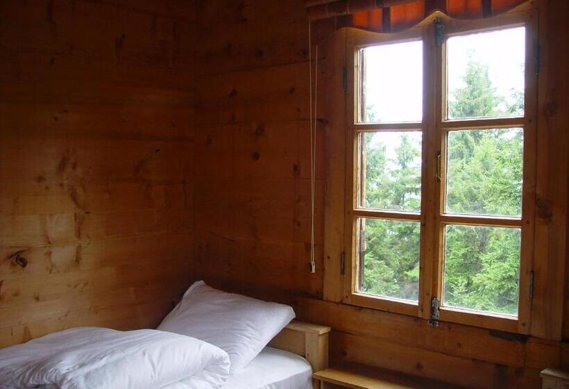 اتاق استاندارد با سرویس بهداشتی مشترک, Demircioglu Pokut Dag Evi