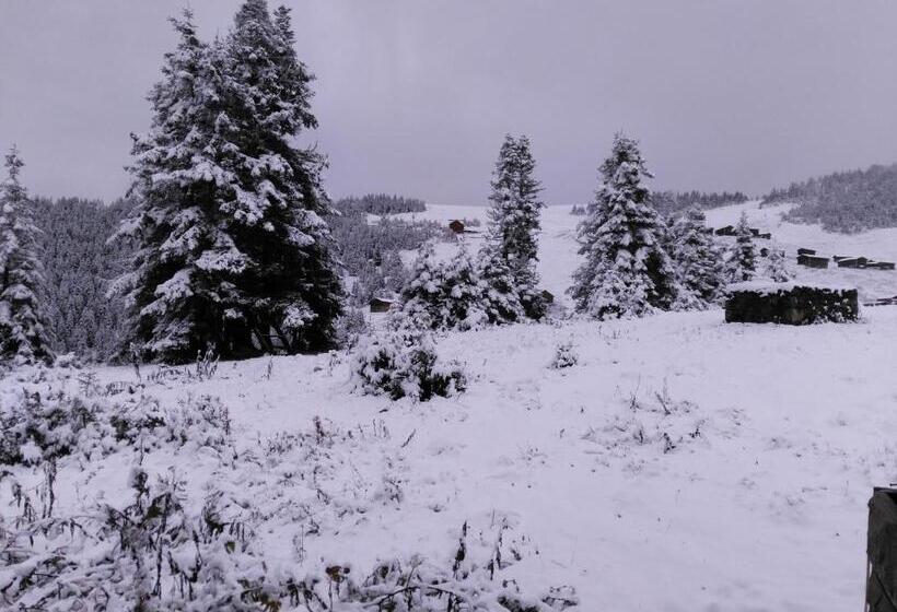 اتاق استاندارد با سرویس بهداشتی مشترک, Demircioglu Pokut Dag Evi