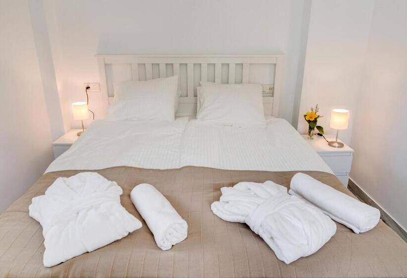 带大床的标准工作室, Hostal Alegre