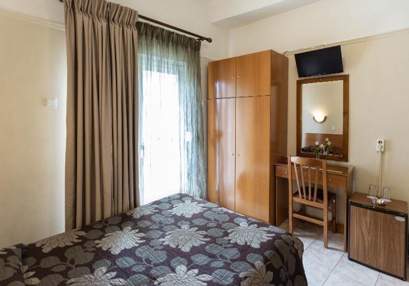 חדר סטנדרט יחיד, Anesis