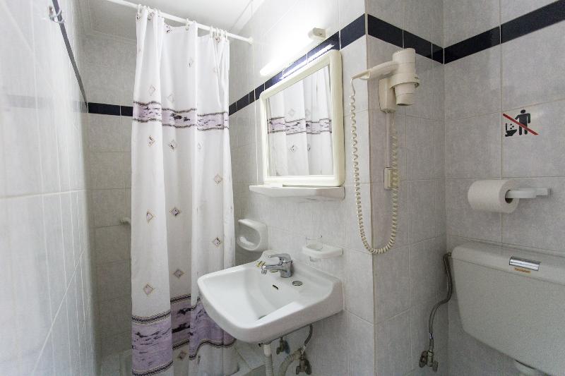 חדר סטנדרט יחיד, Anesis