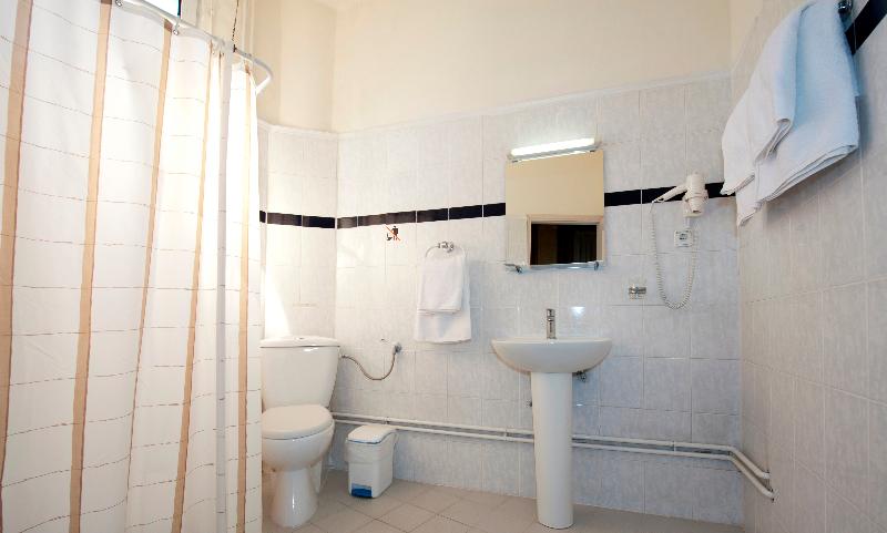 חדר קומפורט לשלושה, Anesis