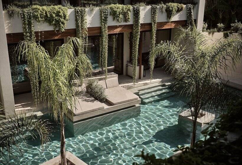 سوییت خانوادگی, Contessina