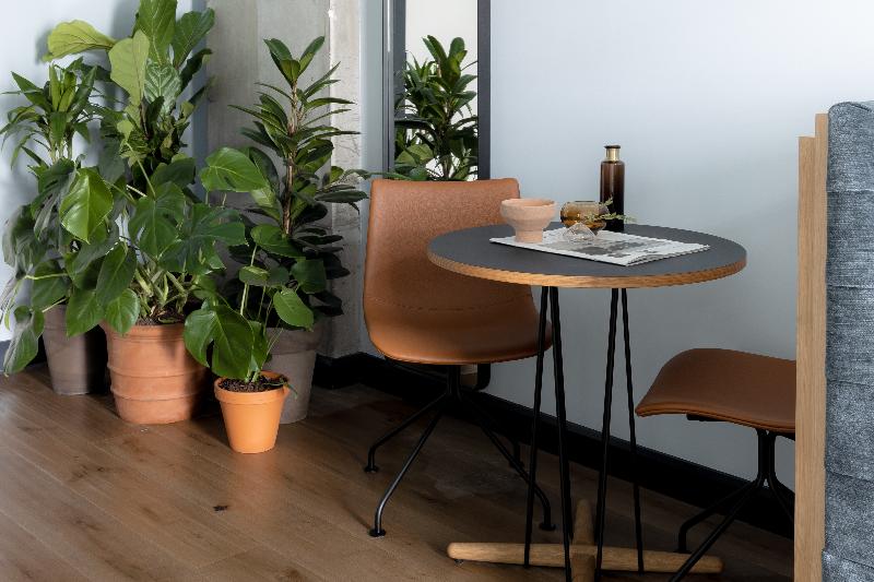 חדר סטודיו סטנדרד, Beckett Locke