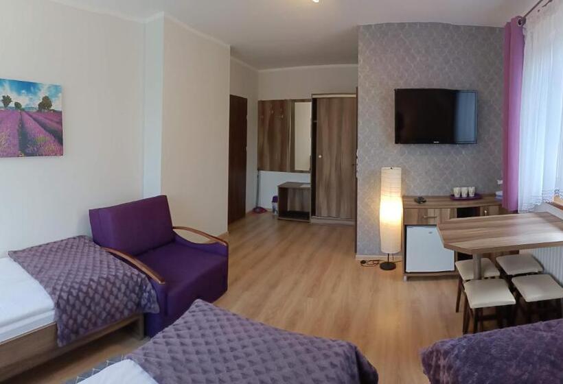 اتاق سوپریور سه تخته, Słoneczny Dworek