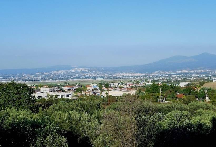 חדר סטנדרט יחיד, Ambassador Hotel Thessaloniki