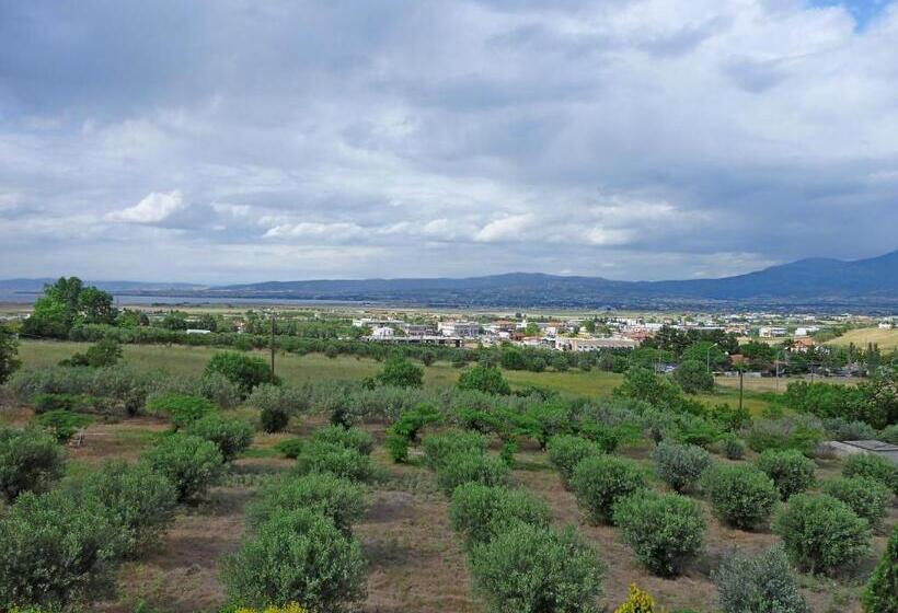חדר סטנדרט יחיד, Ambassador Hotel Thessaloniki