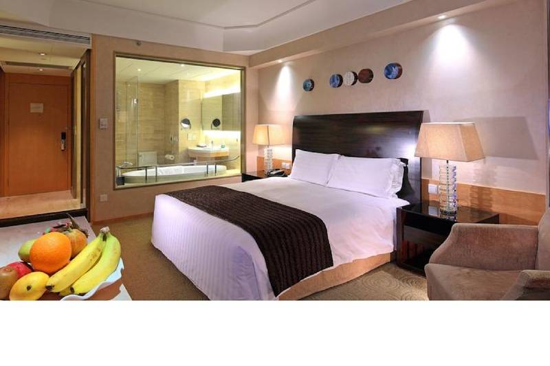 Camera Executive, Domidea