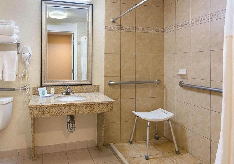 Camera Standard, Domidea