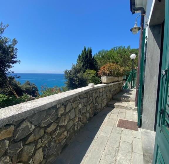 شقة غرفة واحدة, Leopold