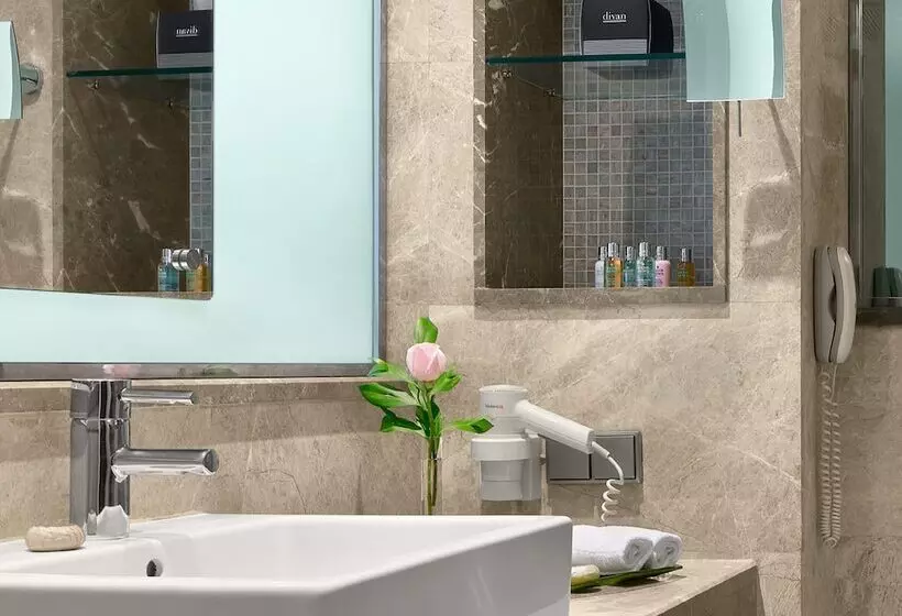 Suite Deluxe, Occidental Ankara
