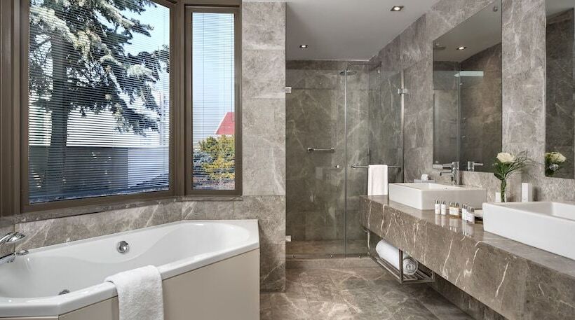 Люкс Повышенной Комфортности, Occidental Ankara
