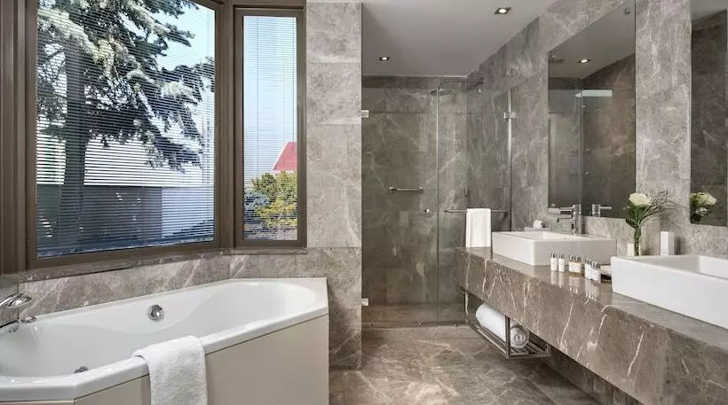 Suite Deluxe, Occidental Ankara