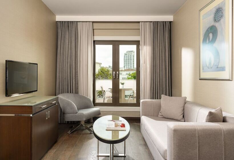 Люкс с Террасой, Occidental Ankara