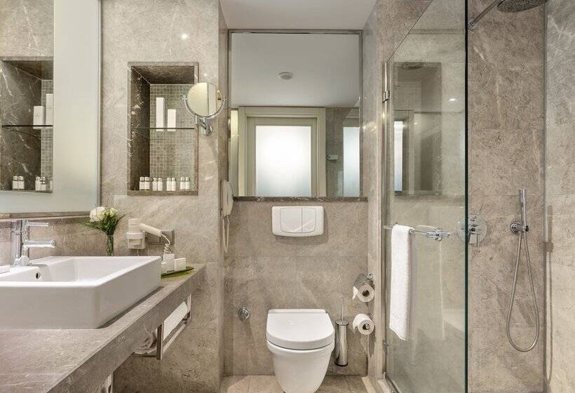 Люкс с Террасой, Occidental Ankara