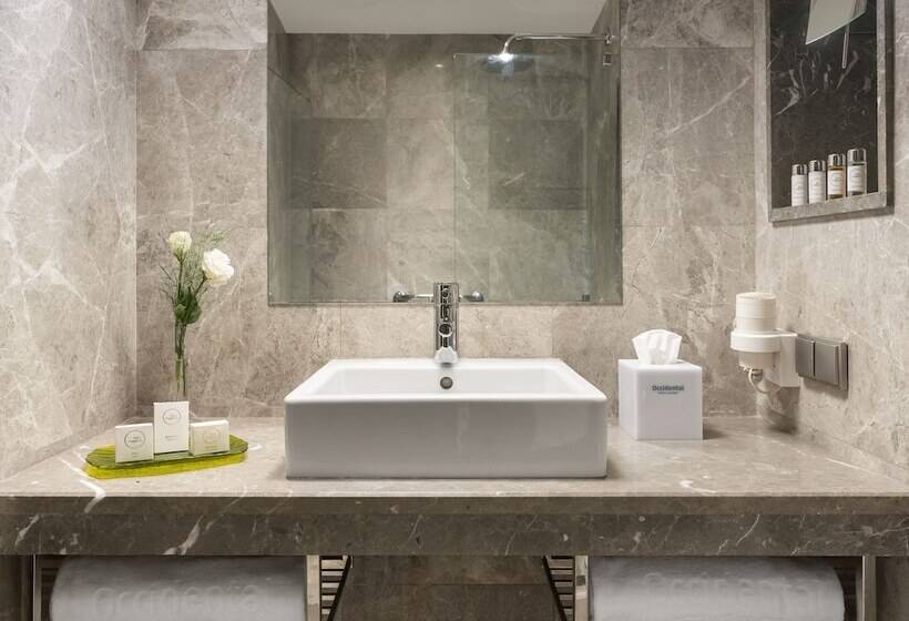 Номер Superior, Occidental Ankara