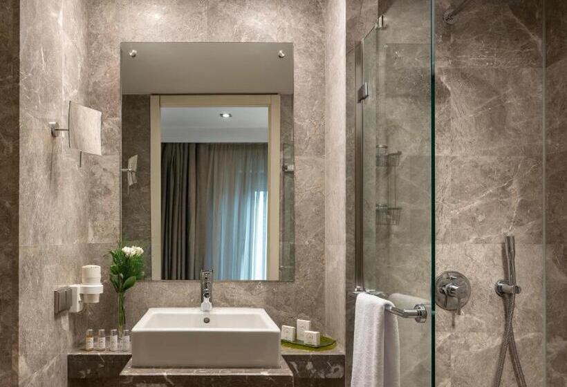 Номер Стандарт, Occidental Ankara