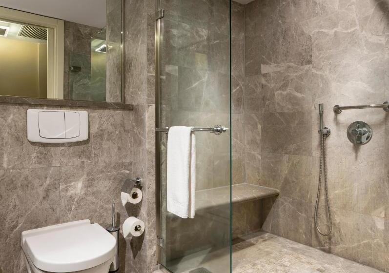 Номер Superior, Occidental Ankara