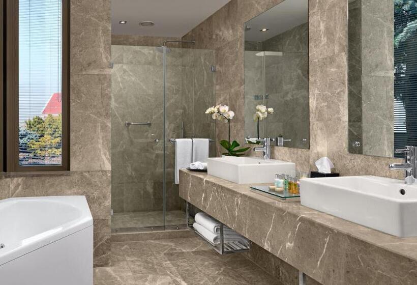 Люкс Повышенной Комфортности, Occidental Ankara