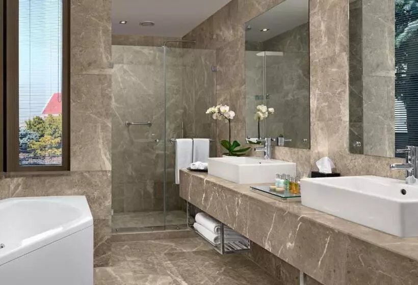 Suite Deluxe, Occidental Ankara