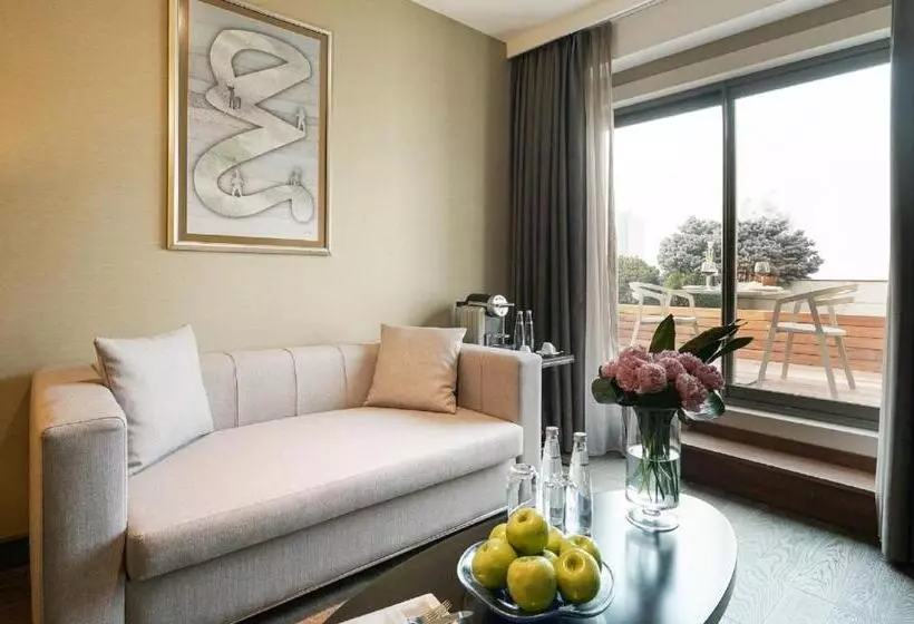 Suite Deluxe, Occidental Ankara