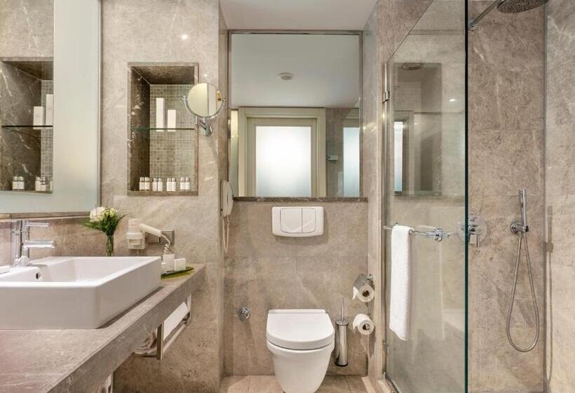 Люкс с Террасой, Occidental Ankara