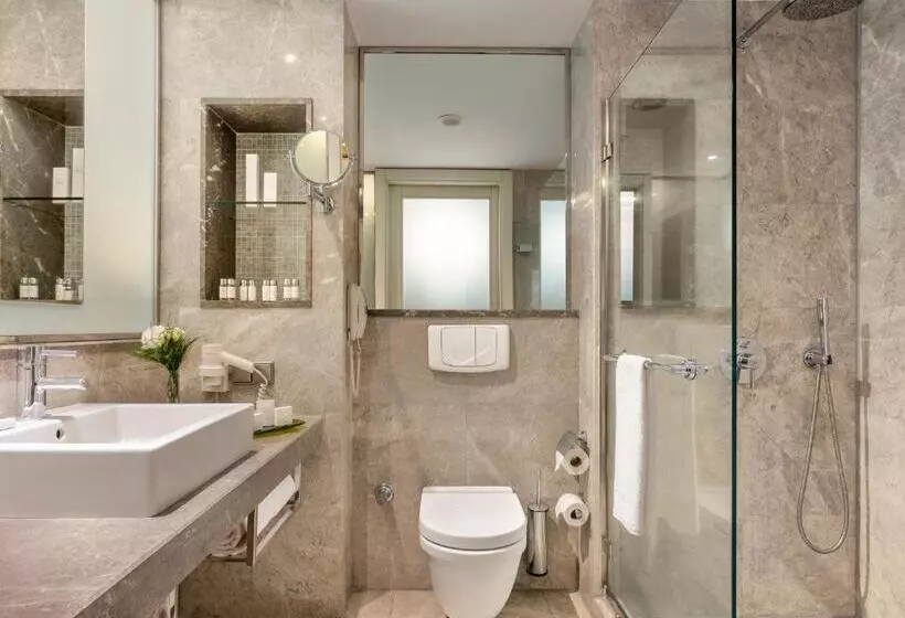 Suite con Terrazza, Occidental Ankara