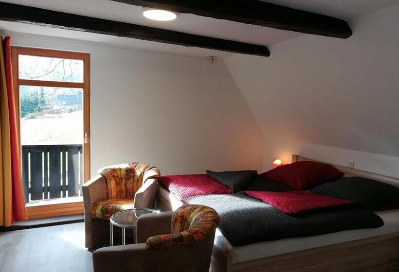 スタンダードルーム, Die Oberlochmühle Pension